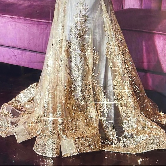 Cinderella Divine Gold Mist Gown - Picture 4 of 12